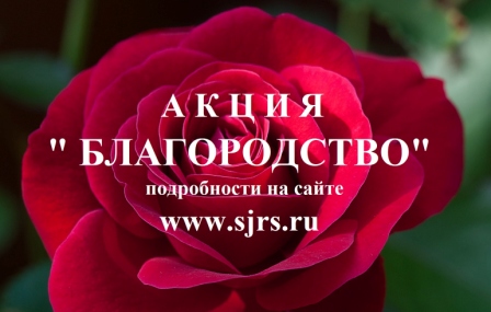 Акция "Благородство"