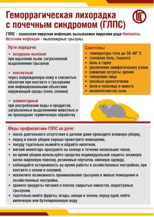 Профилактика геморрагической лихорадки с почечным синдромом (ГЛПС)
