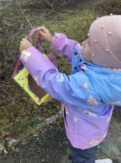 Кормушки для птичек