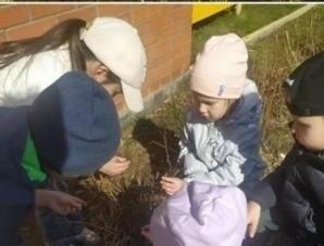 День экологических знаний