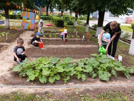 Трудовая деятельность на огороде детского сада