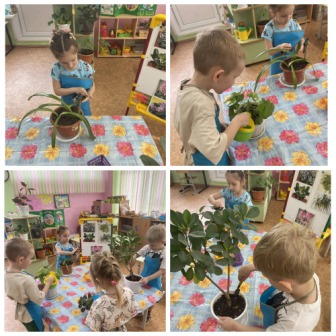 Труд в уголке природы